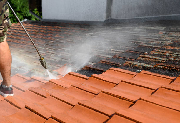 Best Affordable Pressure Washing  in Jonesville, MI