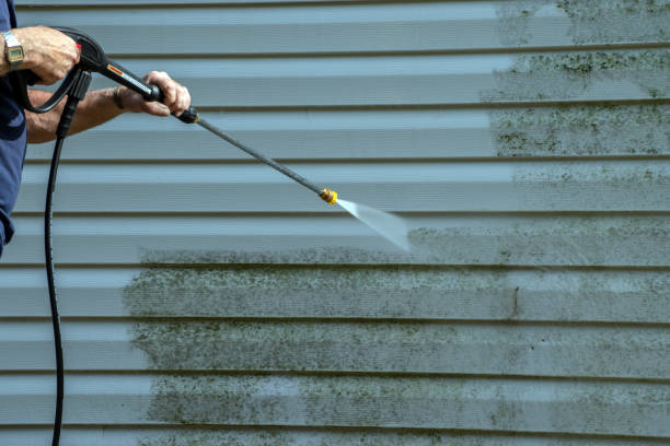 Best Local Pressure Washing Services  in Jonesville, MI
