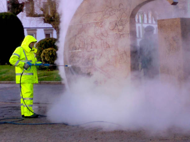 Best Exterior Home Cleaning  in Jonesville, MI